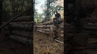 Building a Log Cabin by Hand Part 19! #logcabin #cabin #outdoors #bushcraft #camping