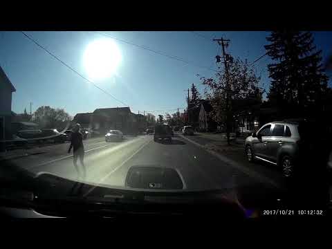 The Polite Jaywalker