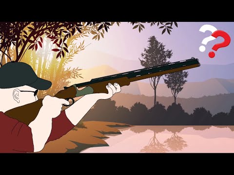 THIS ANIMATED ASMR SHOOTING GAME IS INSANE!!