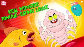 Real Monster Parasite - The Tongue-eating Louse | Cymothoa Exigua Parasite | Dr Binocs Show