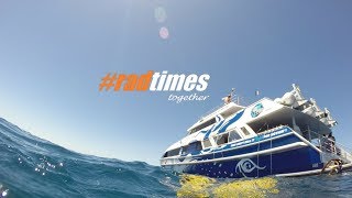 #radtimes on Great Barrier Reef by night with Divers Den