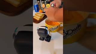emo robot cooking show #emo #emopet #emorobot #airobot #petbot #petrobot  #howto