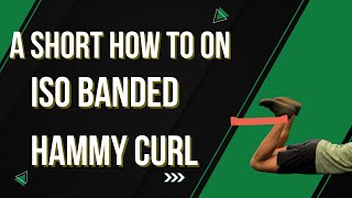 Isometric Banded Hamstring Curl