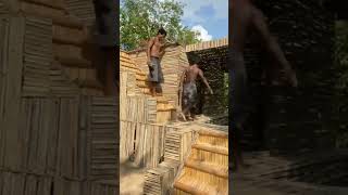 Rough Hands, Rustic Dreams#wildlife #adaptablesurvival #ecofriendlyarchitecture #survival