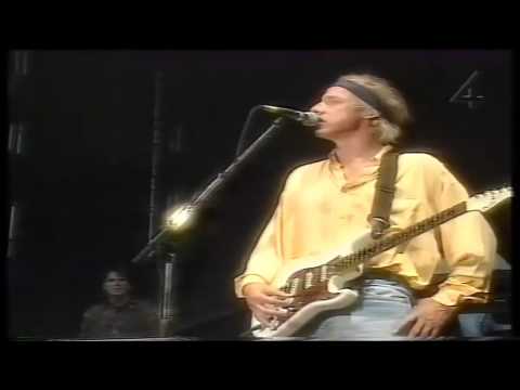 Dire Straits - The Bug (Live @ St. James Stadium, 1992) HD