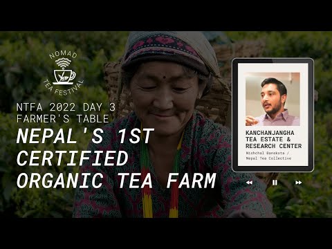 Tea in Nepal - Talk with Nishchal Banskota (Nepal Tea Collective) | Nomad Tea Festival 2022 Day 3