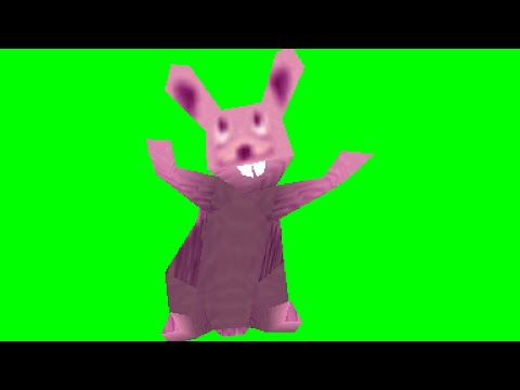 Rabbit