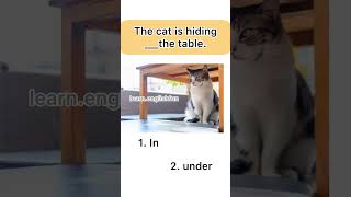 Learn English Sentences , spoken English