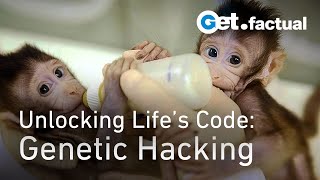 Extra Long Documentary | Engineering Evolution: Genetic Engineering, Battery Technology, Prosthetics