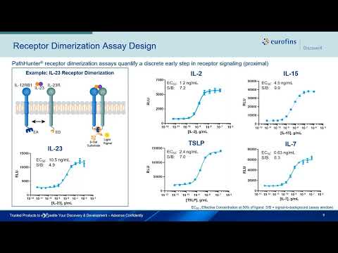 Advancing Therapeutics Targeting Cytokines with Functional Cell-based Assays