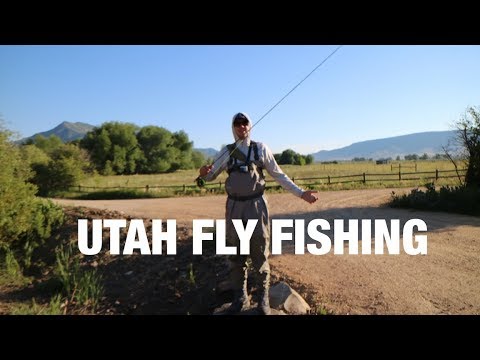 FLY FISHING in UTAH PART 1