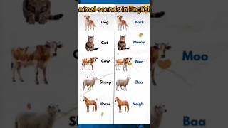 knowledgeable video #generalknoledgegkq #english #studyforkids