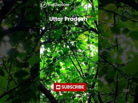 Inside India's Most Unusual Village