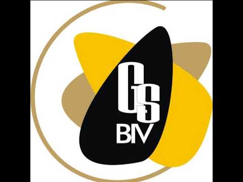 BRAINY INTEGRATED Live Stream