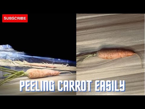 CREATIVITY || PEELING CARROT WITH NO WASTE