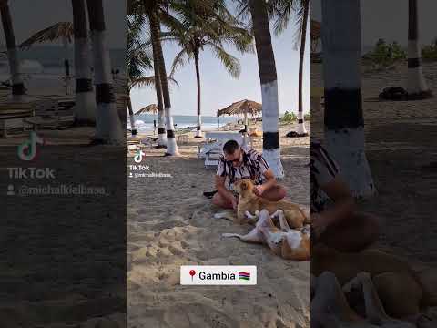 Gambia 📍🇬🇲 #gambia #beach #paradise #travel #youtube #trip #podróże #ocean #summer #plaża #wakacje