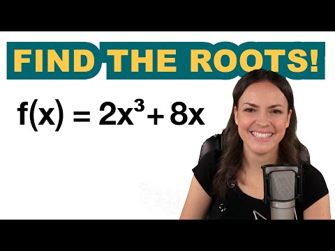 Find ALL real roots! – Polynomial function
