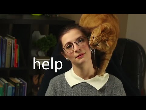 my cats ruin everything