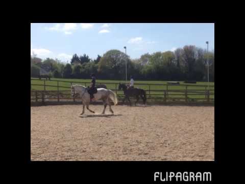 Flipagram - April 15, 2014