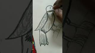 Draw a Easy Bird 🕊️#shorts #shortsfeed #shortsvideo #drawing #tutorial #tamiltutorial #easydrawing