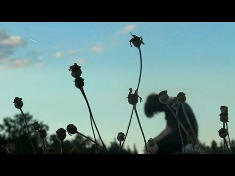 Days to Waste | when the summer ends (Official Music Video)