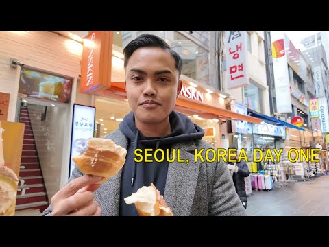 EXPLORING MYEONGDONG  STREET FOODS AND IKSEONDONG CAFES | SEOUL TRAVEL VLOG 