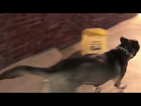 Atlas running