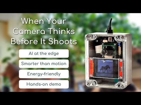 Offline animal recognition demo on Edge AI Vision Module (Himax HX6538)
