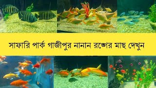 Gazipur Safari Park Dhaka || One of the most beautiful places in Bangladesh !