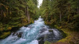 15 minute meditation music for positive energy - Relax mind body
