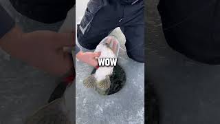 EPIC VIDEOS EXPLAINED 02 #epic #viral #epicshorts