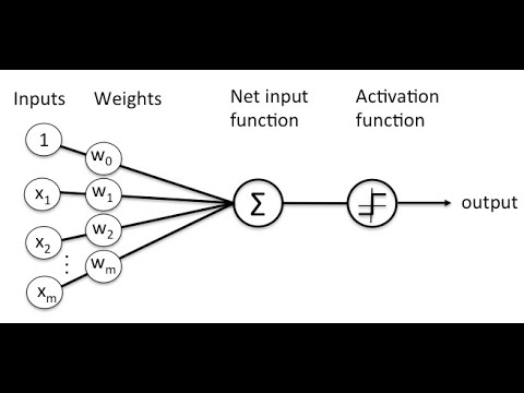 starting to learn neural networks with Golang