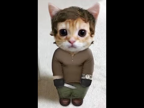 Trolling users on garry mod live