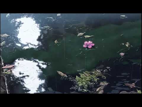 Del Water Gap - Theory of Emotion (Slowed & Reverb)
