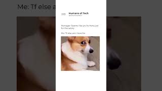 Exactly 😒😒😒 #corporate #memes #corporatelife #funny #developer