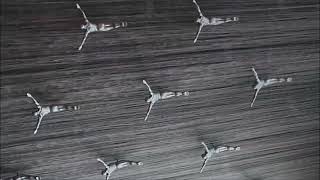 Dave Leatherman, Bruce Nolan -  Looking For Disco