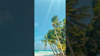 My camera roll after visiting beautiful boracay! 🏝️ #boracay #travel #itsmorefuninthephilippines