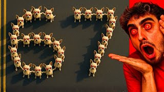THE DOGS FORMED 67…😨