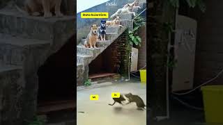 Deep Learning Vs Machine Learning