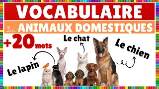 Vocabulary: Domestic animals in French