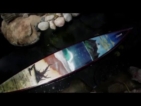 Bill Stewart & Wade Koniakowsky Charity Art Piece