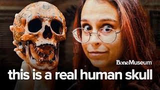 12 UNIQUE Artifacts You MUST See in The Bone Museum!