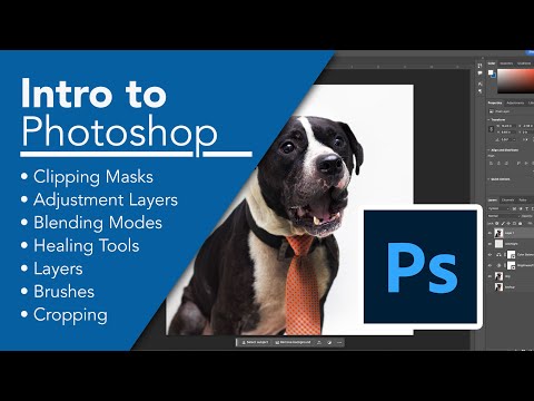 Photoshop Bootcamp for Beginners: Introduction to Photoshop (Part 1)