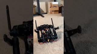 Quadruped Robot Dog is Playing #shorts #viral #quadruped