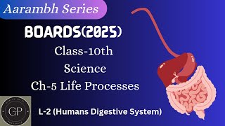 Life Processes Digestion Class 10 Science Biology Ch-5 (L-2)