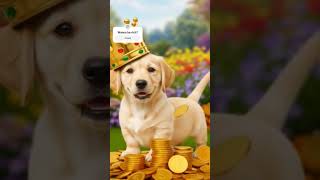 Wanna be rich? #dog  #cutedogs #hustlemindset #DreamScreenAI
