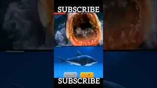 All Hungry shark in real life #hungry #shark #evolution #shorts #shortsfeed