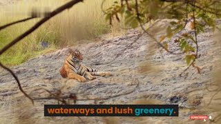 Here Are The Top 5 Most Beautiful Places In Bangladesh!
