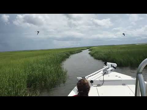 BAY BOAT SKINNY WATER! Bay Rider 239 Bay