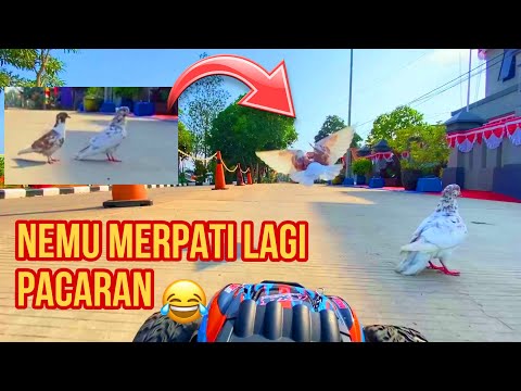 Trip on the Edge of Berau Using (Mobil Mainan)